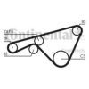 CONTITECH CT925 Timing Belt